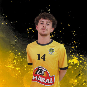 Tristan GILLE